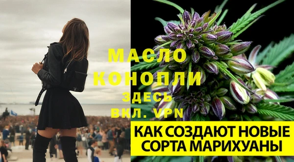 ALPHA PVP Вяземский