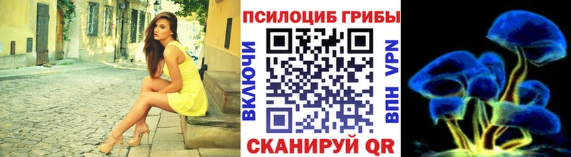 shop состав  Холмск  Псилоцибиновые грибы Psilocybe 